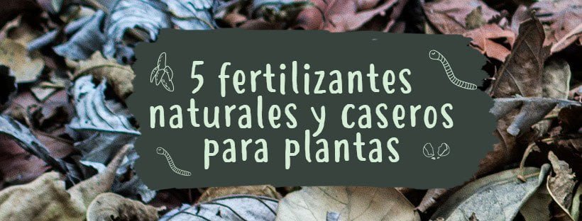 5 Fertilizantes Naturais e Caseiros Para Plantas