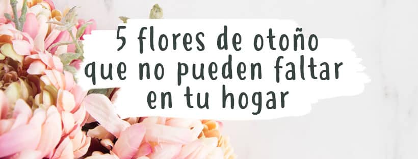 5 Flores de Outono Que Não Podem Faltar em Sua Casa