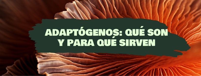Qué son los adapógenos y para qué sirven