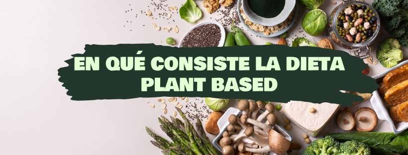 En Qué Consiste La Dieta Plant Based