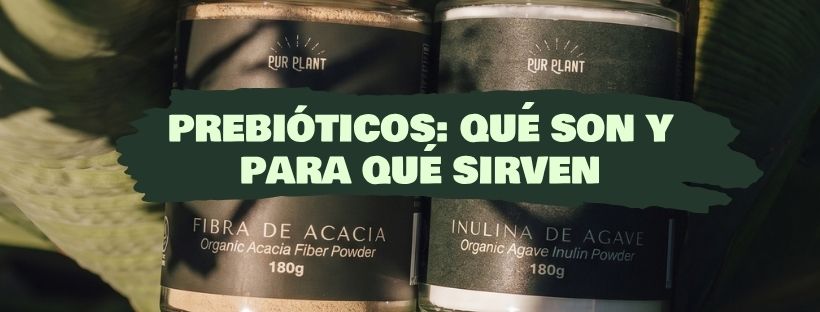 Prebióticos: Qué Son Y Para Qué Sirven
