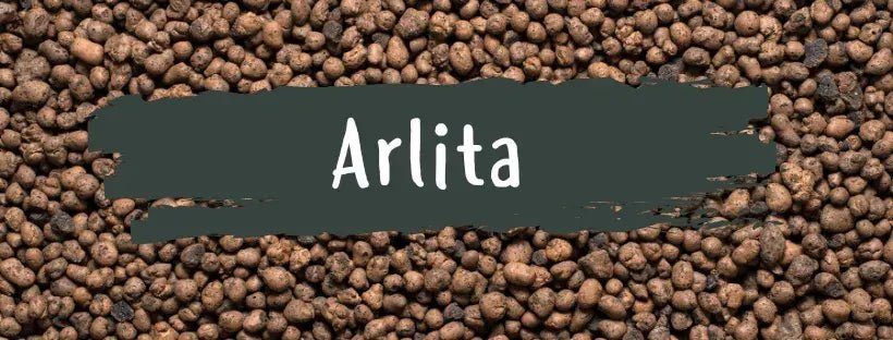 Arlita: O que é e para que serve