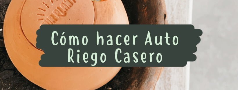 Como Fazer um Sistema Caseiro de Autorrega para Plantas