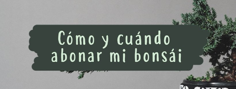 Como e Quando Adubar o Seu Bonsai