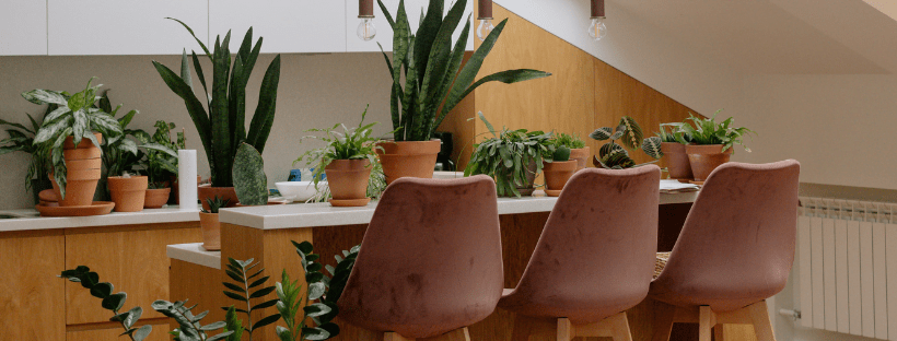 Ideias Para Decorar Com Vasos Para Plantas de Interior