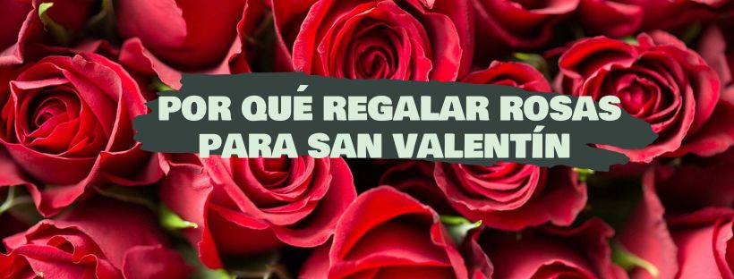 Por Que Oferecer Rosas no Dia dos Namorados
