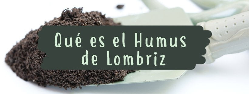 O Que É O Húmus de Minhoca?