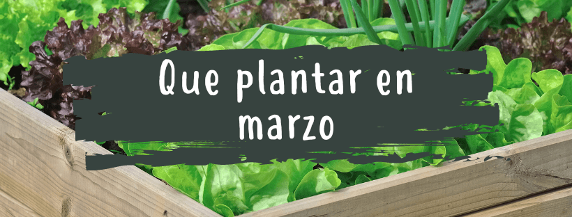 O Que Plantar Em Março