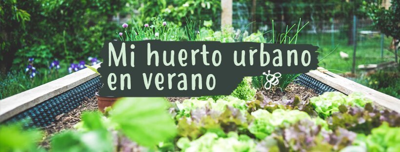 O Que Plantar Este Verão na Minha Horta Urbana