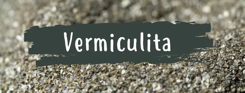 Vermiculite: O Que É e Para Que Serve