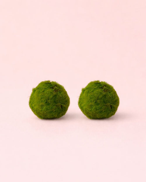 2x Marimo Ball – Mini Bola de Musgo Viva 3 cm - Pur Plant