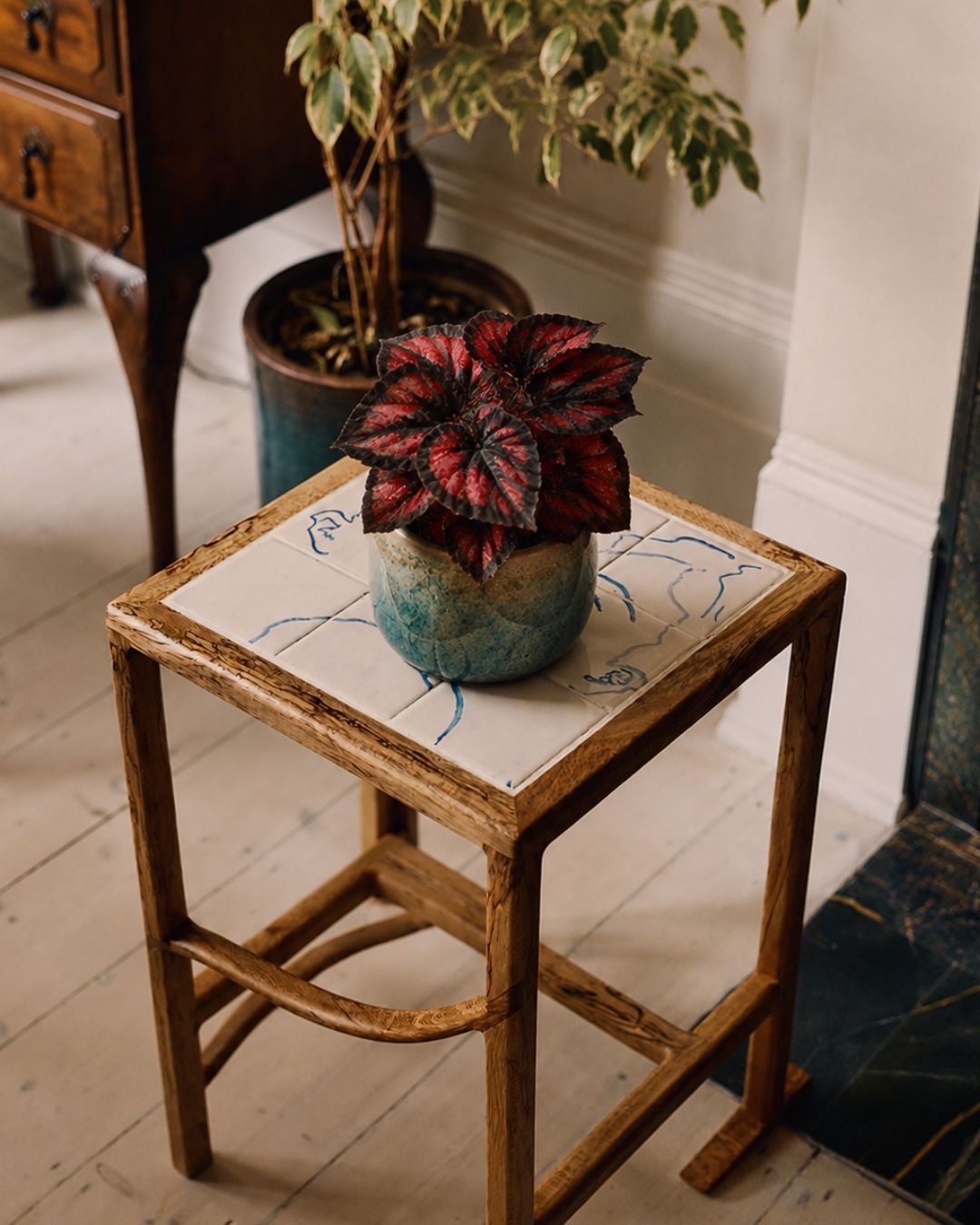 Begonia Rex Red Kiss Mini context