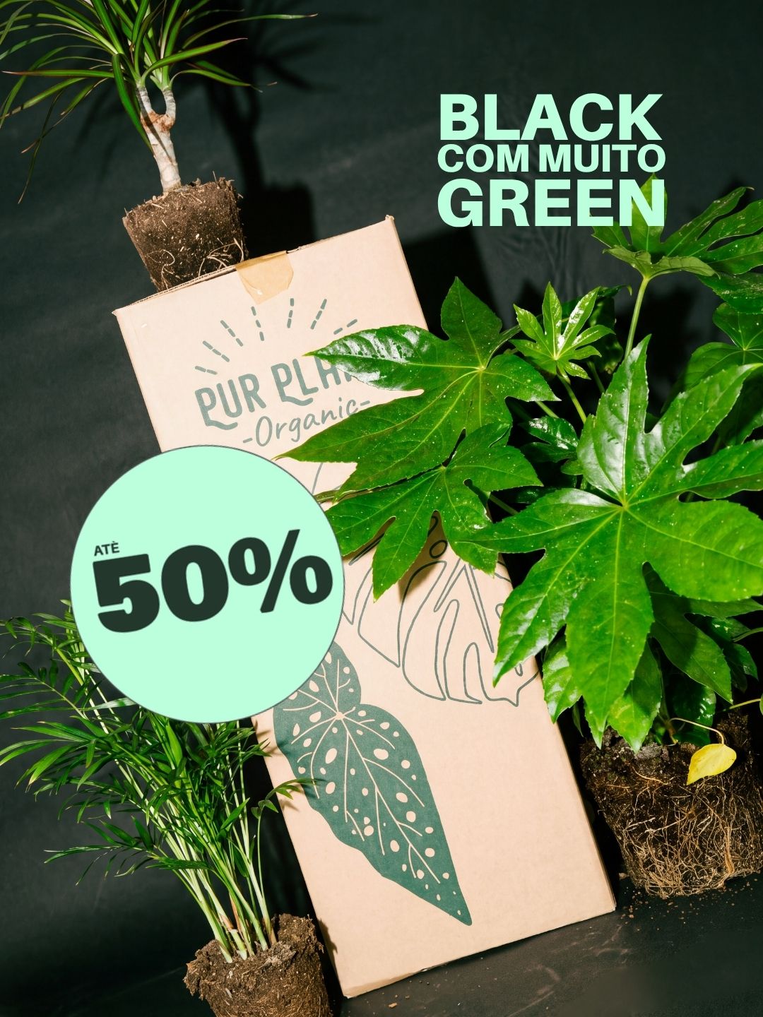 Banner da campanha Black Friday da Pur Plant