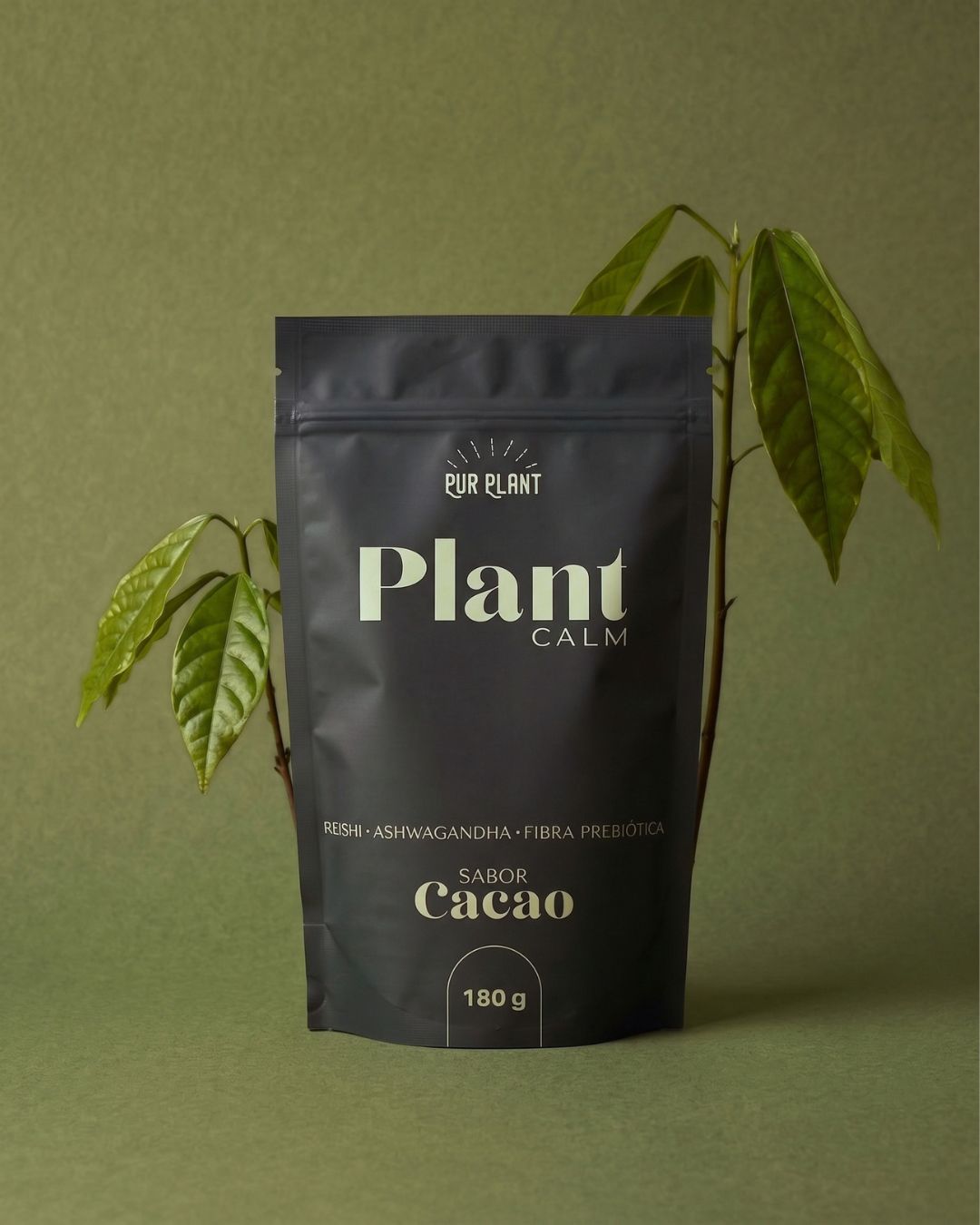 plant calm cacao