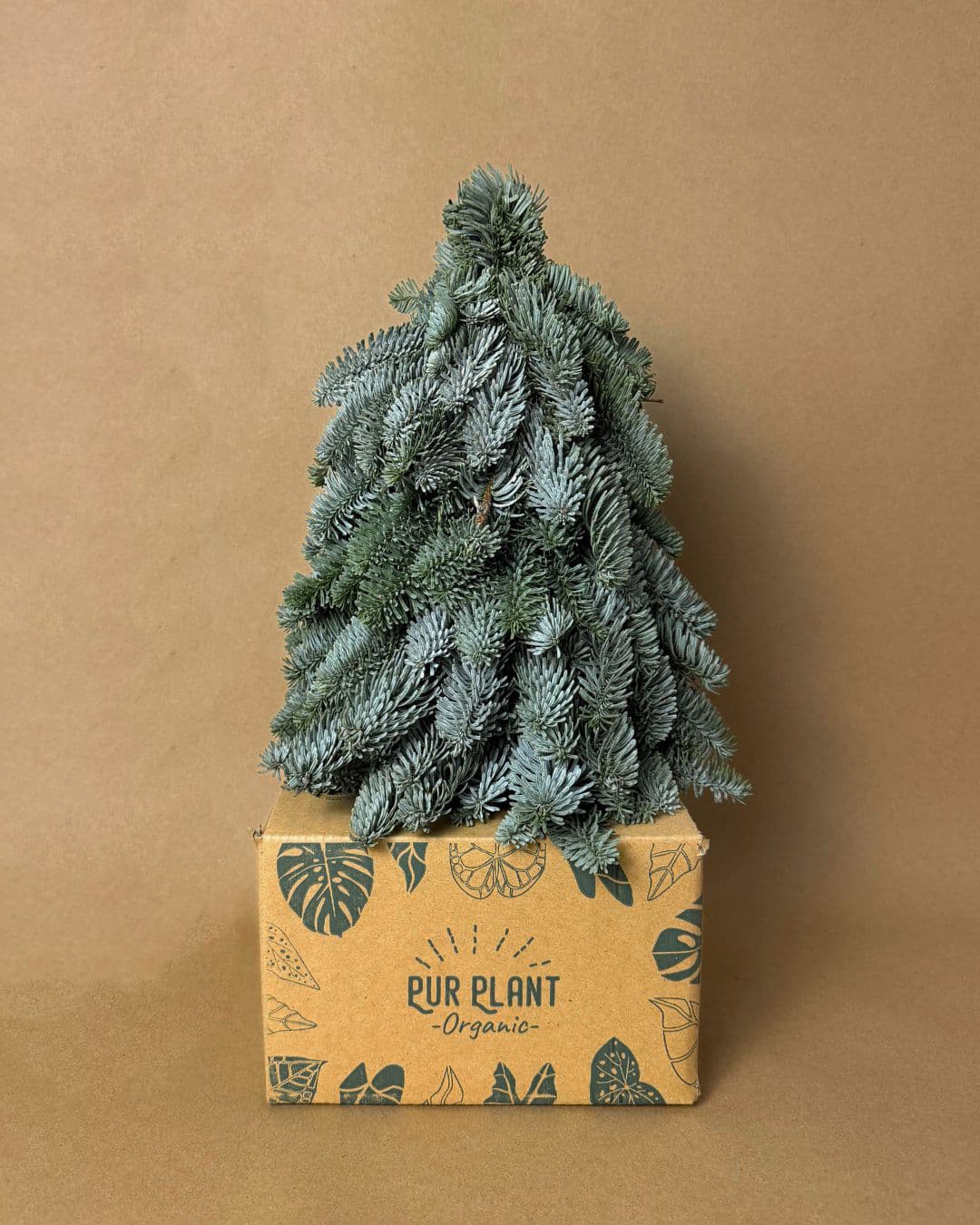 Abeto Natural Mini - Pur Plant