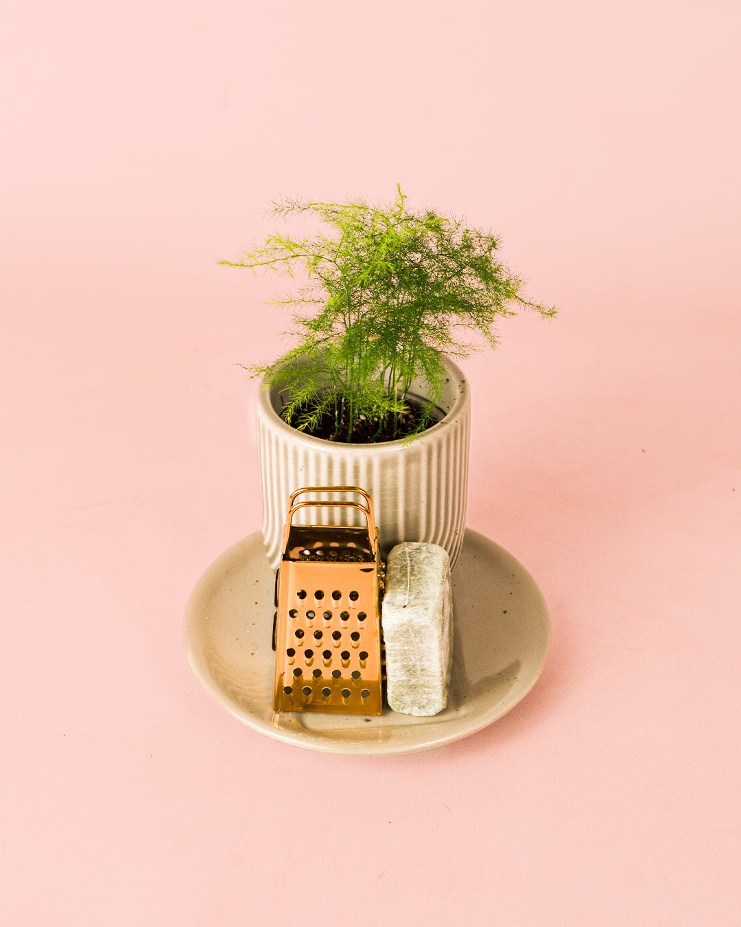 Ambientador Sostenible Blanco con Mini Planta - Pur Plant