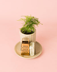 Ambientador Sustentável Branco com Mini Planta