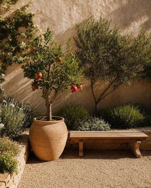 arbol-granado-xxl-context-2
