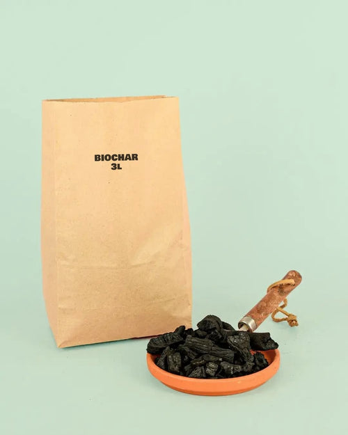 Biochar – Carbón Activo 3L - Pur Plant