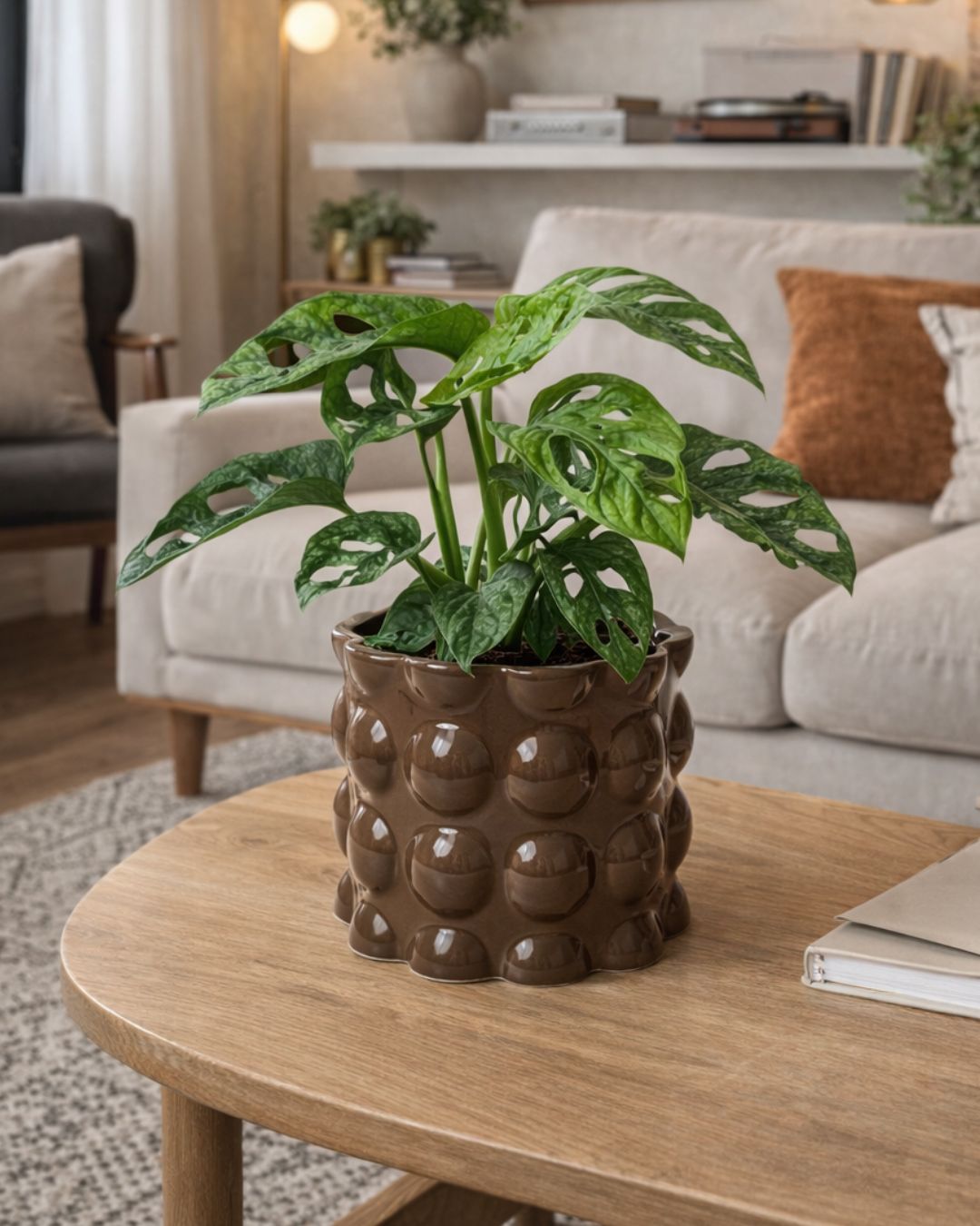 Bob – Maceta Cerámica Marrón M 12 cm - Pur Plant