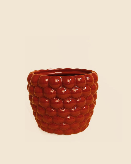Bubble – Maceta Cerámica Roja 12 cm - Pur Plant
