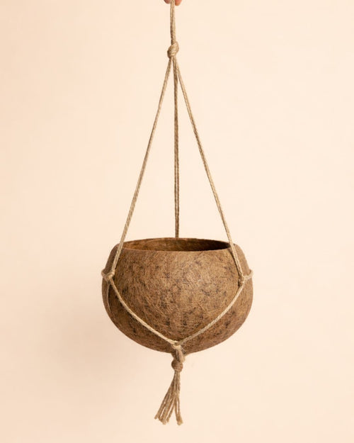 Coco Hang – Maceta Colgante de Coco 15 cm - Pur Plant