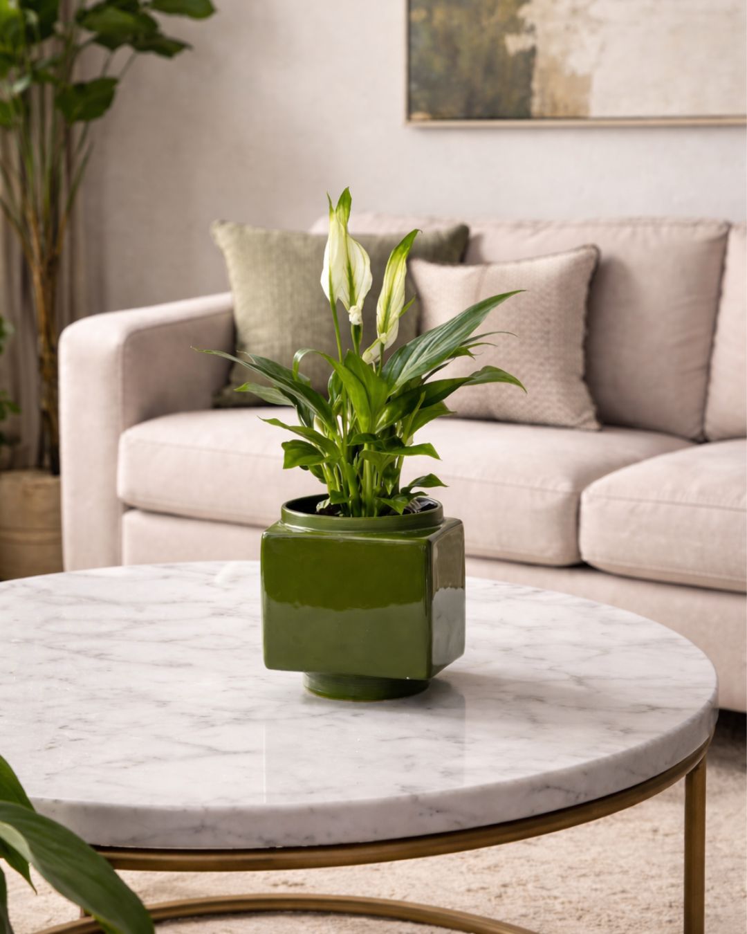 Cube – Mini Maceta Cerámica Verde 9 cm - Pur Plant