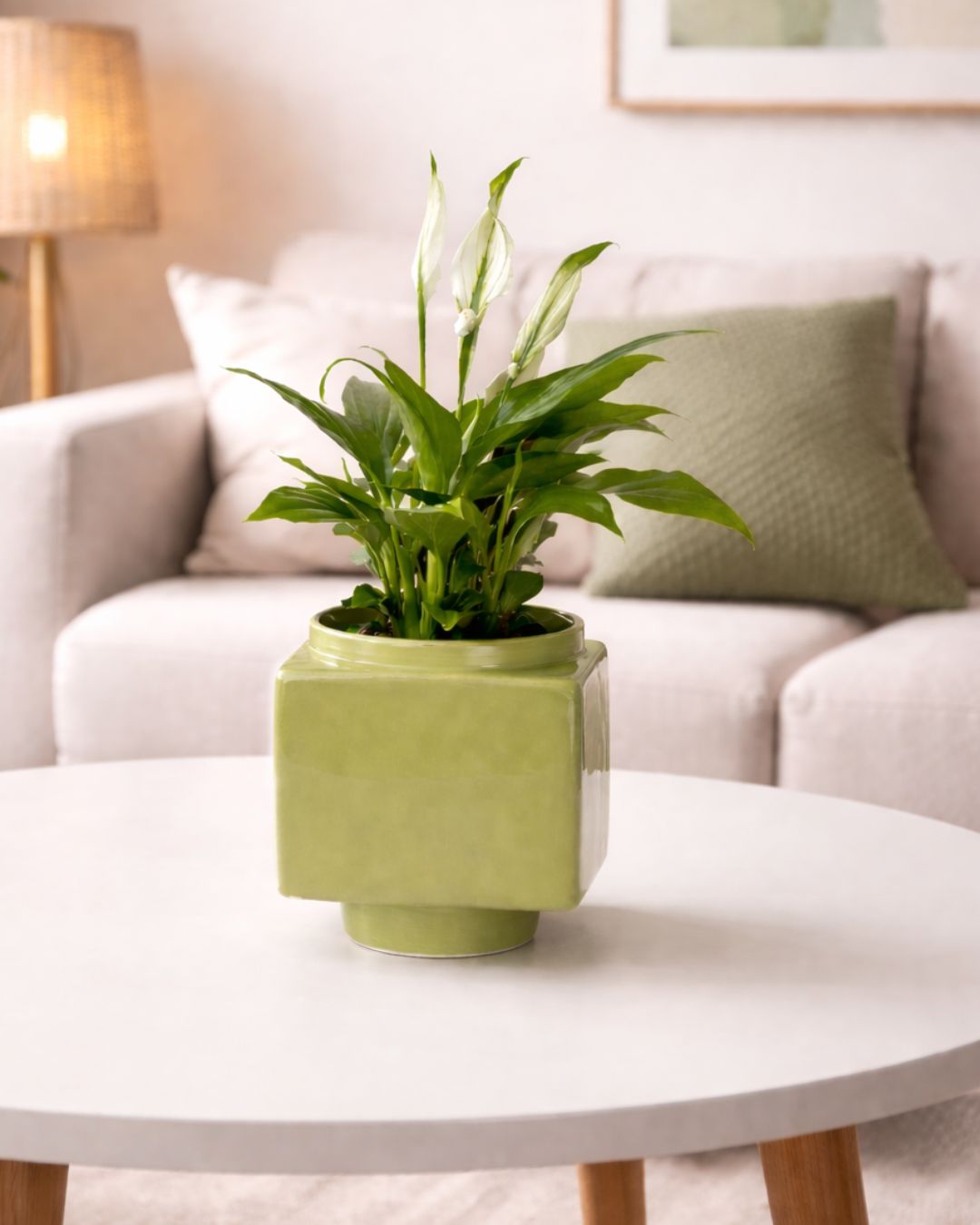 Cube – Mini Maceta Cerámica Verde Claro 9 cm - Pur Plant