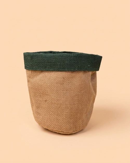 cubremacetas_yute_verde_15cm