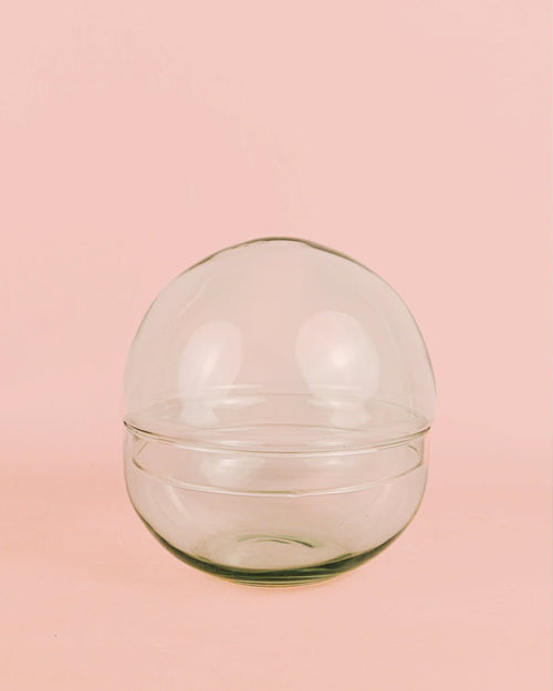 Domo Terrario Bol 20×20 cm - Pur Plant
