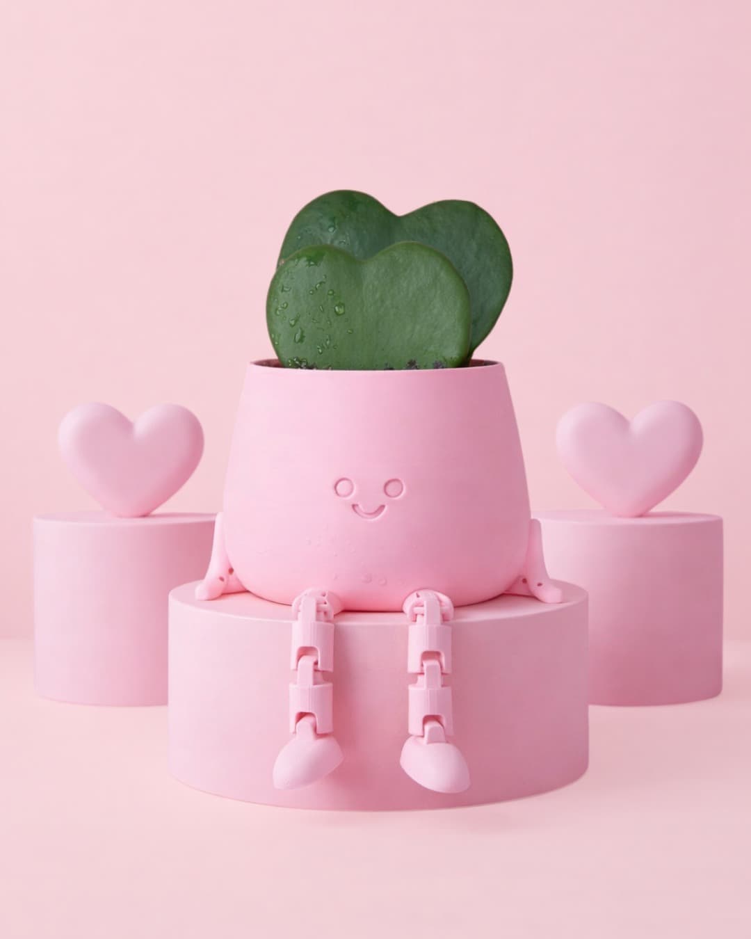Gift Set Hoya Kerrii Doble + Happy Pot Rosa - Pur Plant
