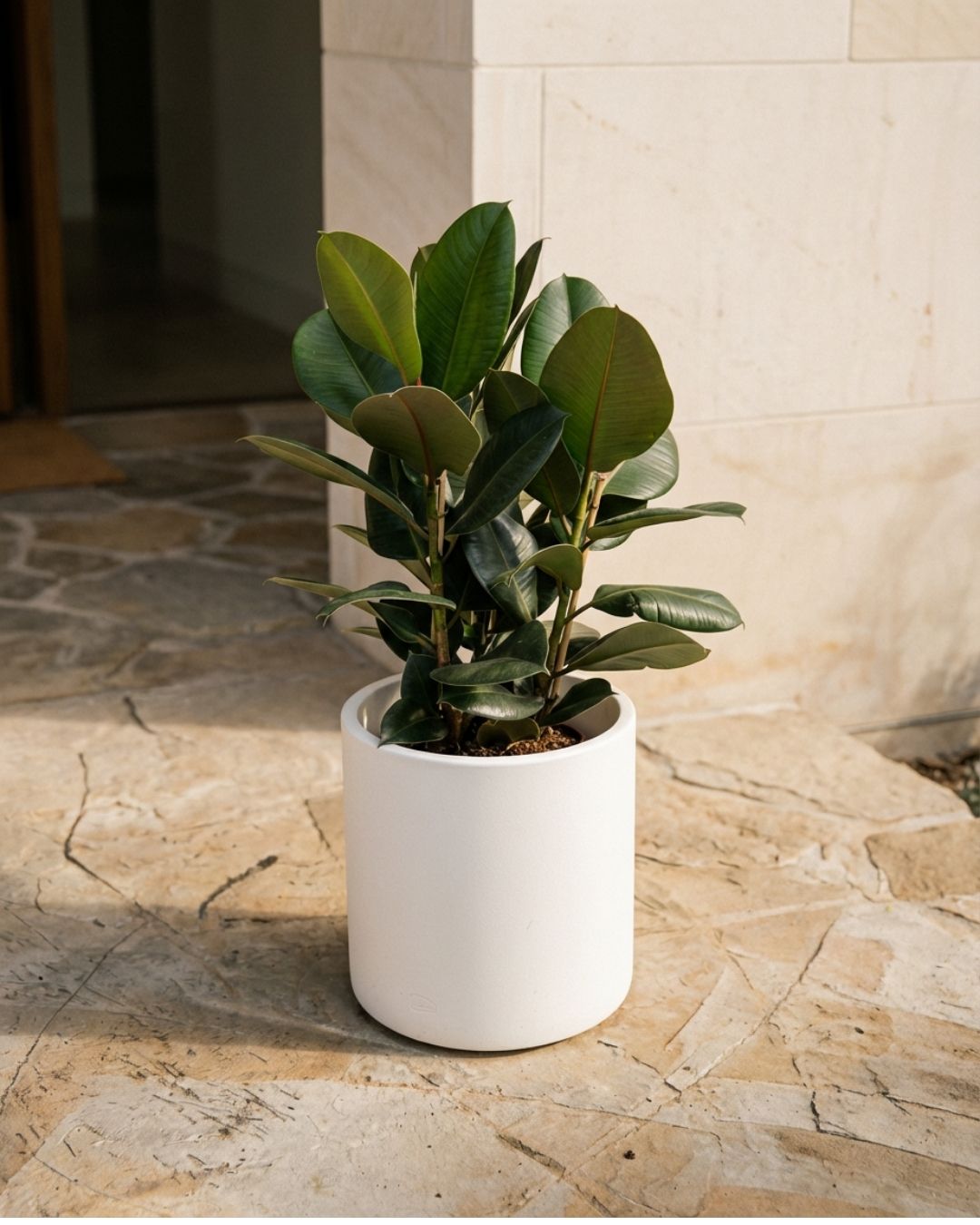 Halo - Macetero blanco XL 40 cm - Pur Plant