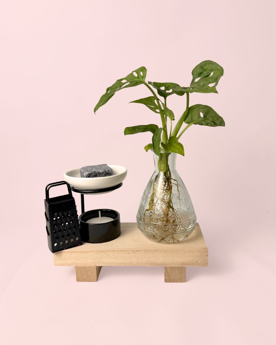 Happy Box – Kit Regalo con Monstera Adasonii - Pur Plant