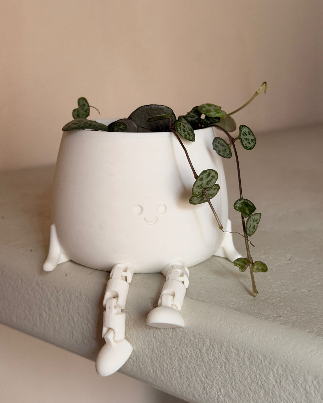 happy-pot-blanca-ceropegia_2
