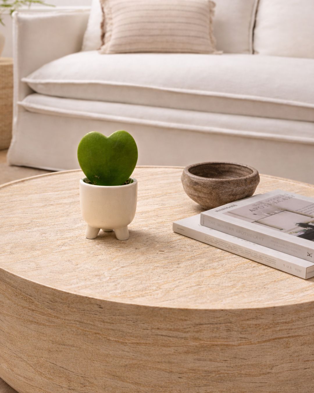hoya-kerrii-potit-contexto-gift-set_2