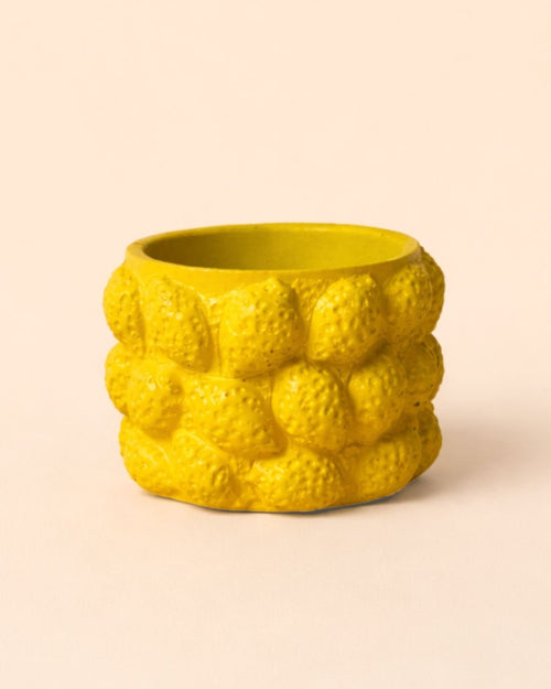 Limone – Mini Maceta Cerámica Limones S 6 cm - Pur Plant
