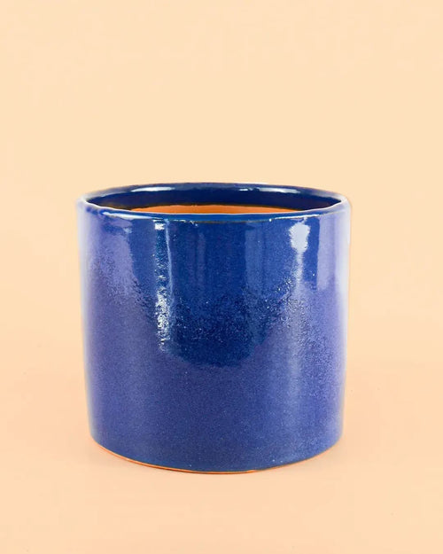 Maceta Azul Marino L – 19 cm - Pur Plant