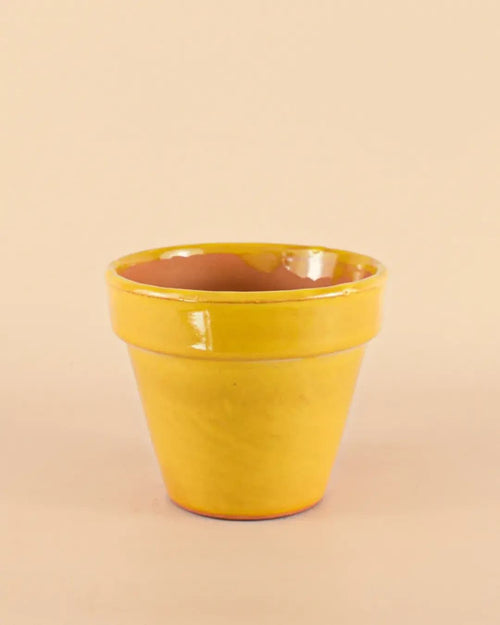 Maceta Clasic Amarillo – 15 cm - Pur Plant