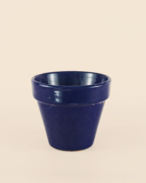 Maceta Clasic Azul – 15 cm - Pur Plant