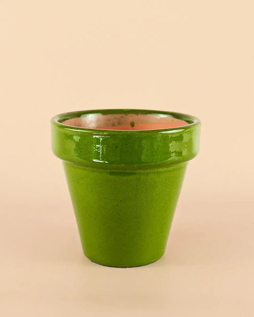 Maceta Clasic Verde – 15 cm - Pur Plant