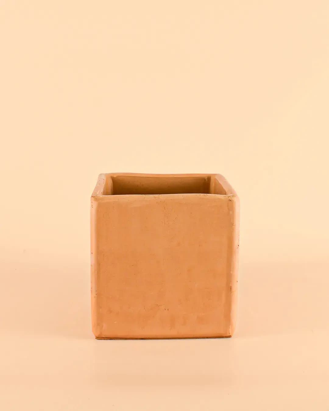 Maceta Cuadrada Terracota – 14cm - Pur Plant