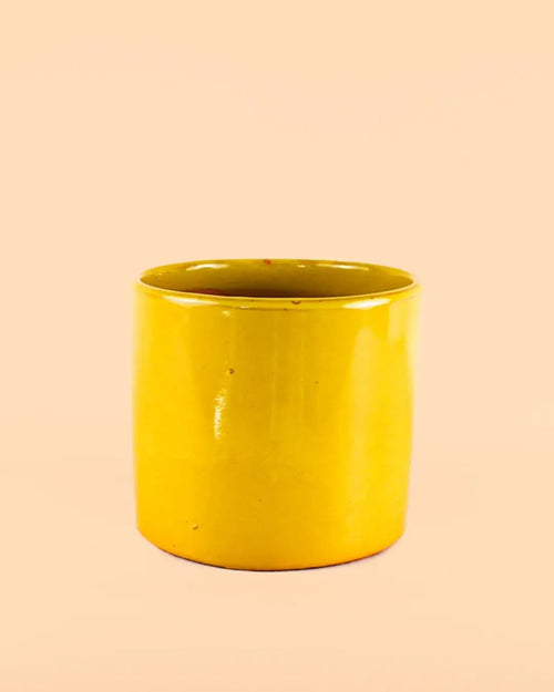 Maceta Mostaza M – 15 cm - Pur Plant