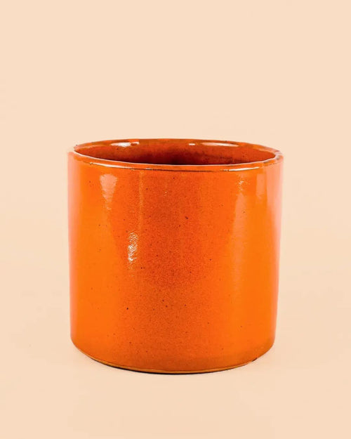Maceta Naranja L – 19 cm - Pur Plant