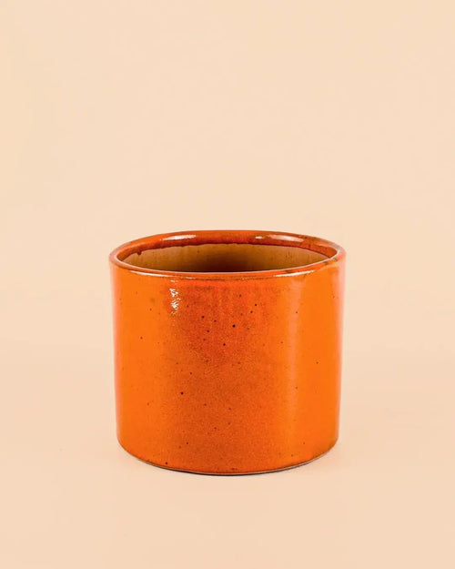 Maceta Naranja M – 15 cm - Pur Plant