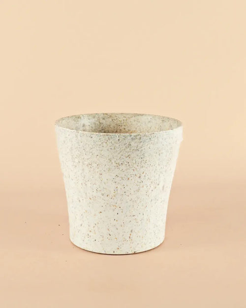 Maceta Natural – 14 cm - Pur Plant