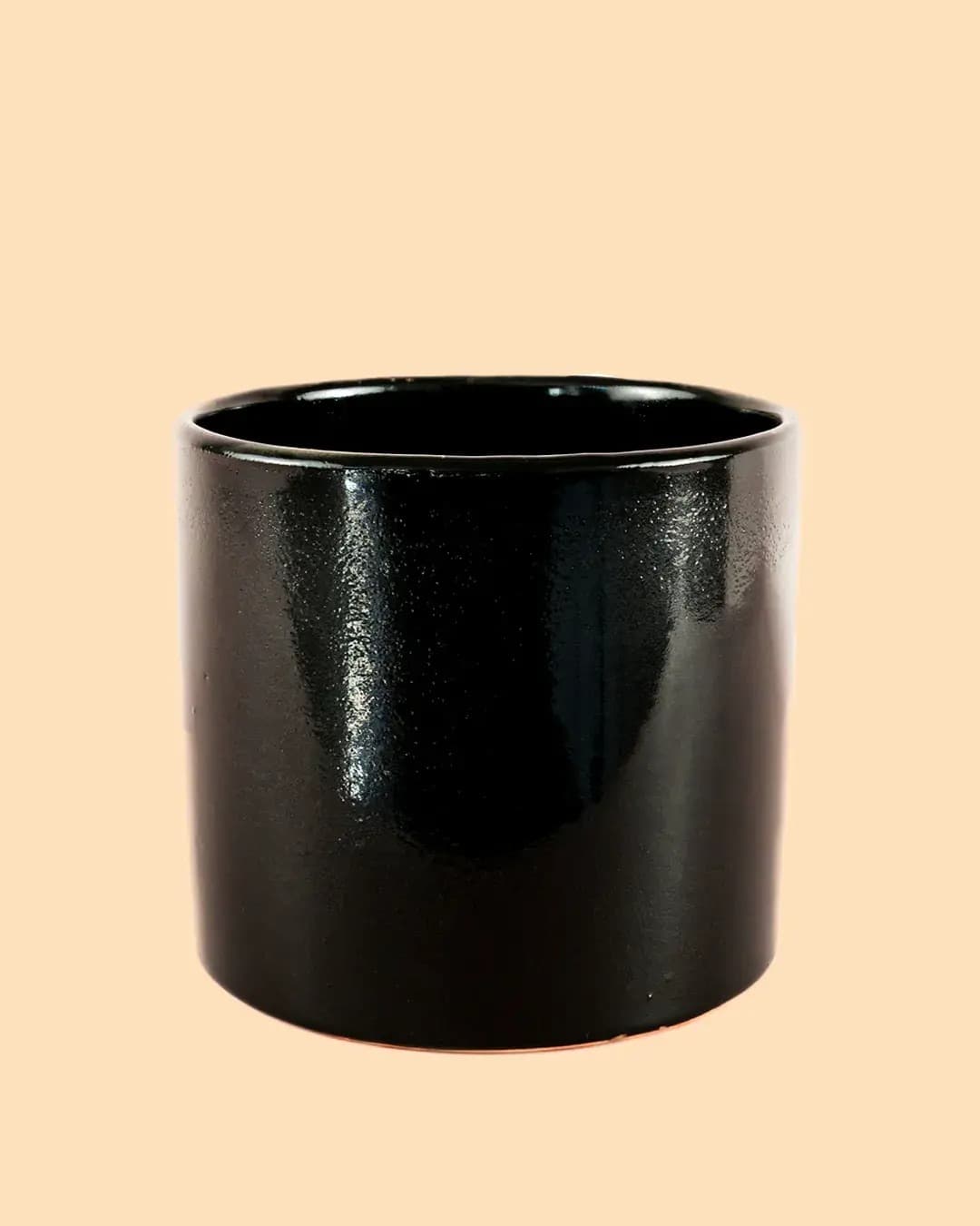 Maceta Negra L – 19 cm - Pur Plant