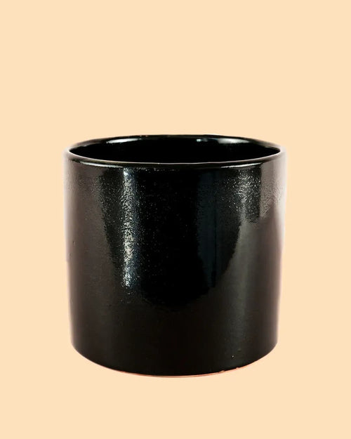 Maceta Negra L – 19 cm - Pur Plant