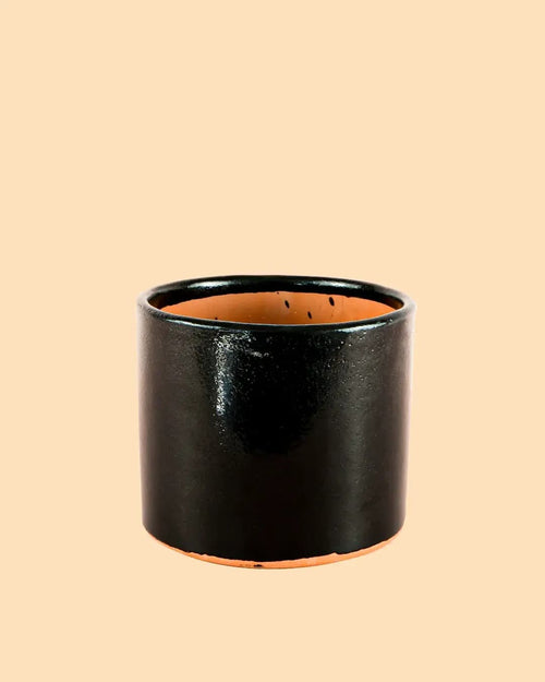 Maceta Negra M – 15 cm - Pur Plant