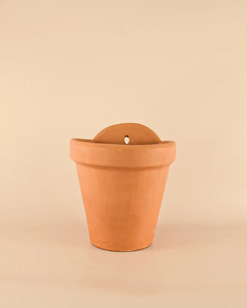 Maceta Pared Terracota L – 18 cm - Pur Plant