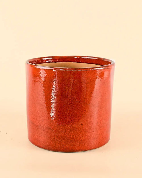 Maceta Roja L – 19 cm - Pur Plant